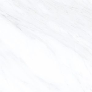 伊莉莎白 EM126P105B