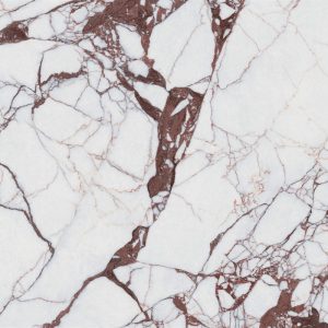 伊莉莎白 EM157P153B