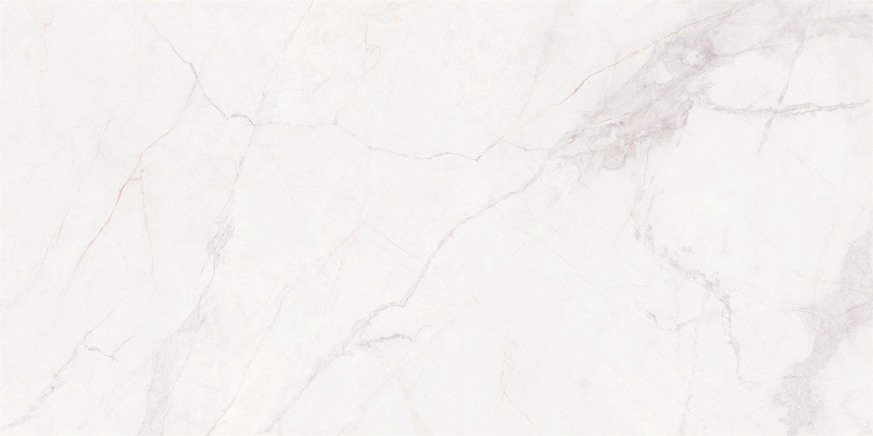 Elizabeth EQ157R079