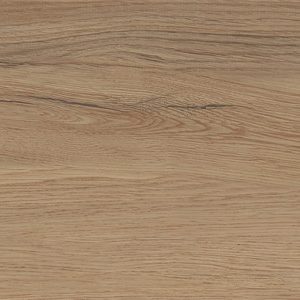 伊莉莎白 ESW122870